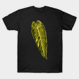 Philodendron melanochrysum leaf botanical illustration T-Shirt